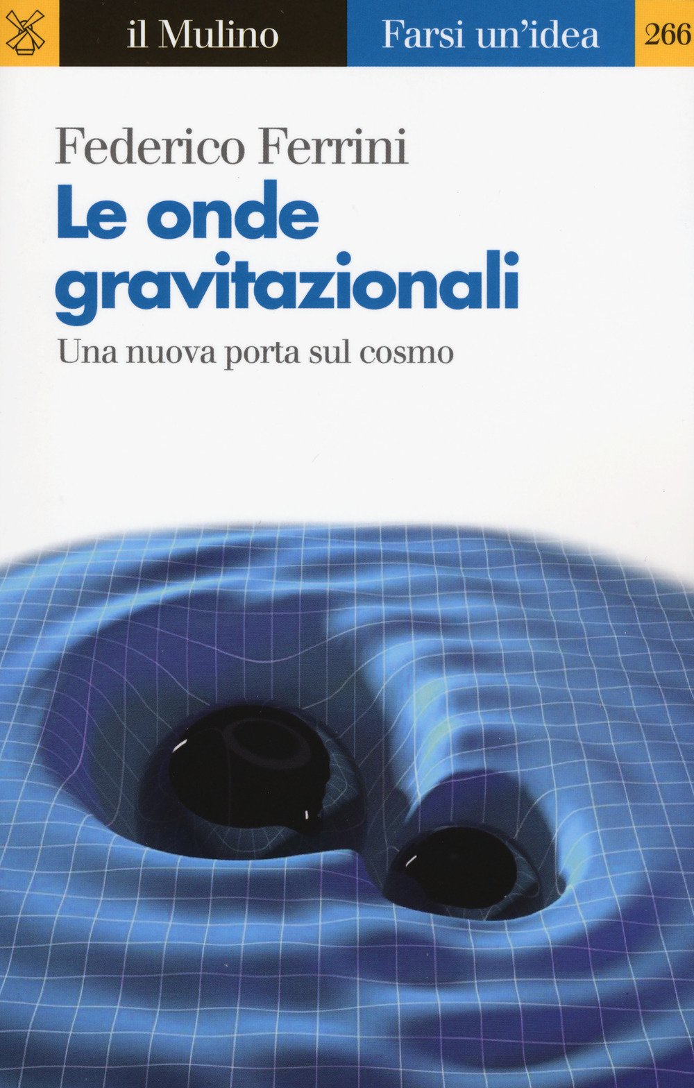 Le onde gravitazionali. Una nuova porta sul cosmo (Farsi un'idea) Natural Sciences