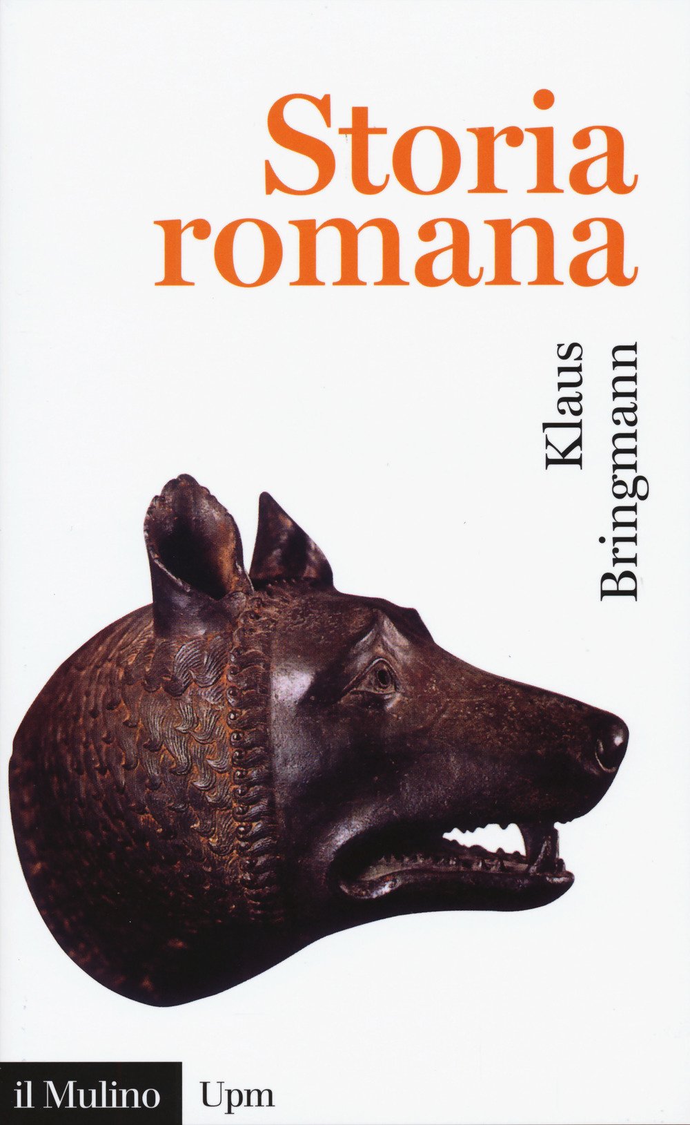 Storia romana. Dalle origini alla tarda antichità book