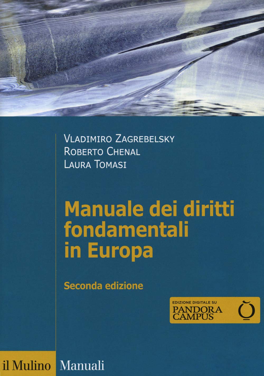 Manuale dei diritti fondamentali in Europa. Con espansione online book