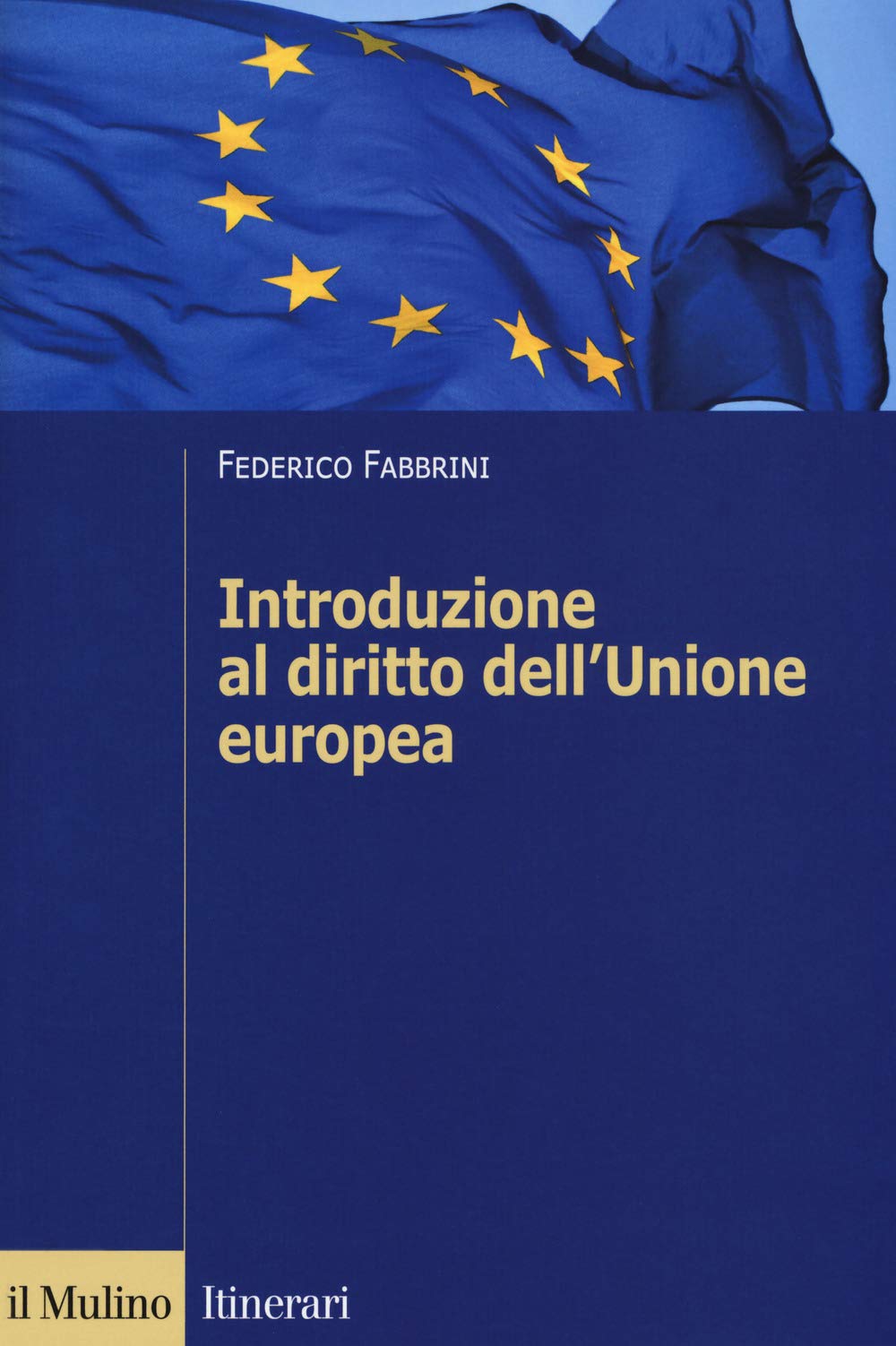 Introduzione al diritto dell'Unione europea book