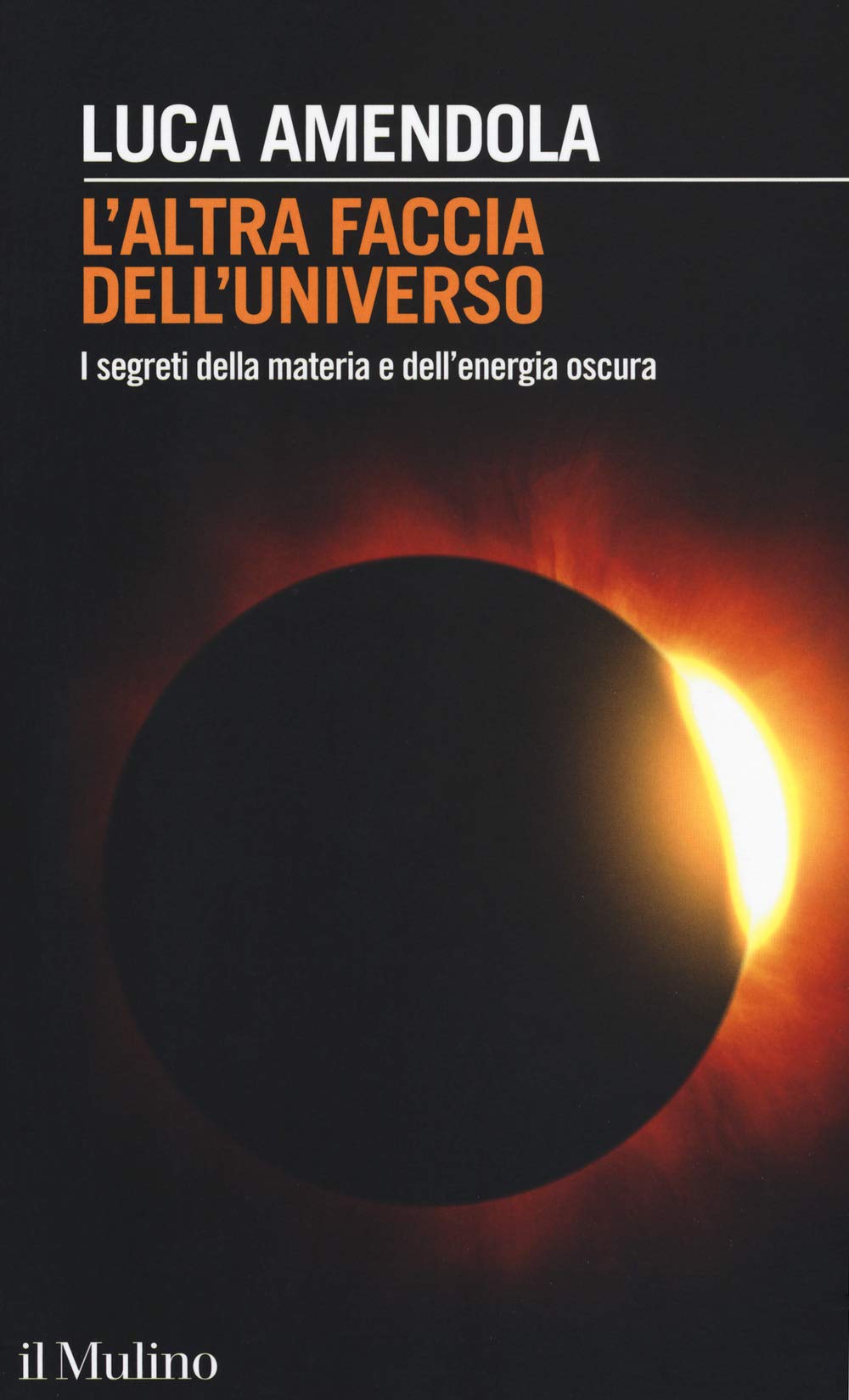 L' altra faccia dell'universo. I segreti della materia e dell'energia oscura Natural Sciences