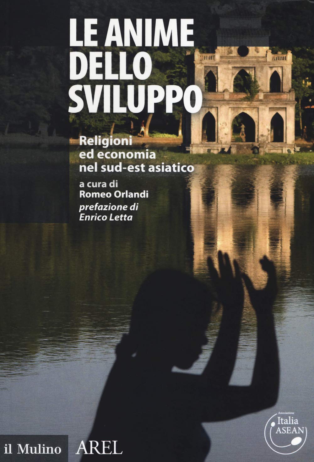 Le anime dello sviluppo Religioni ed economia nel sud-est asiatico-The souls of development. Religions and economy in Southeast Asia book