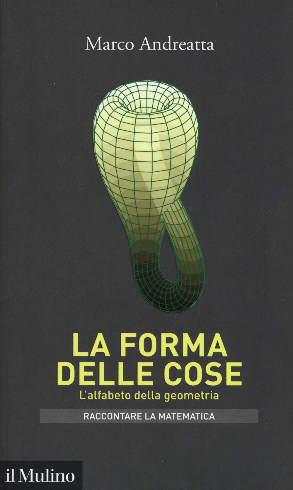 La forma delle cose. L'alfabeto della geometria book