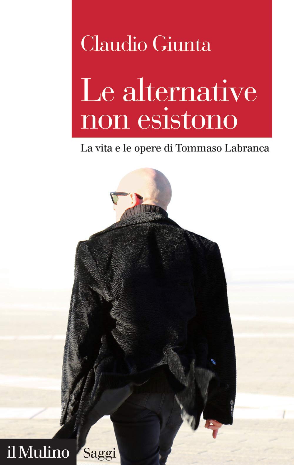 Le alternative non esistono. La vita e le opere di Tommaso Labranca (Saggi) Contemporary literature