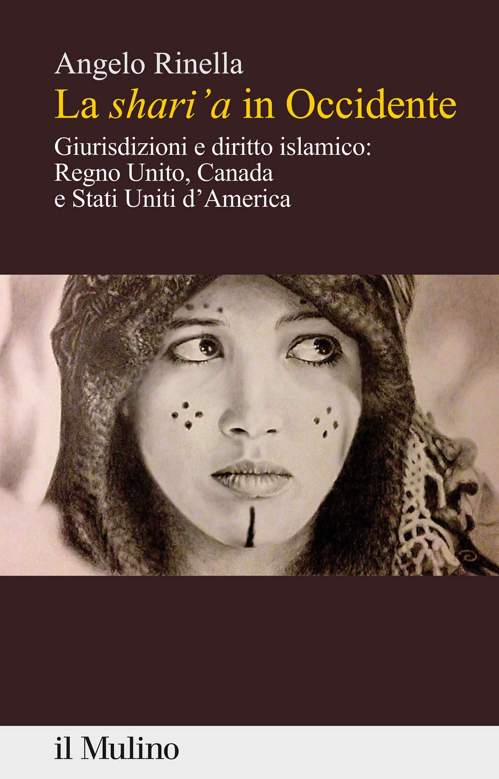 La shari'a in Occidente. Giurisdizioni e diritto islamico: Regno Unito, Canada e Stati Uniti d'America book