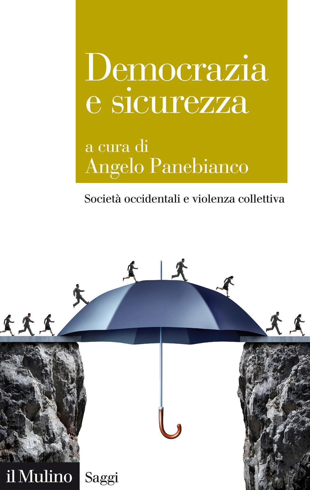 Democrazia e sicurezza. Società occidentali e violenza collettiva book