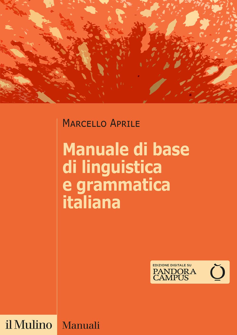 Manuale di base di linguistica e grammatica italiana book