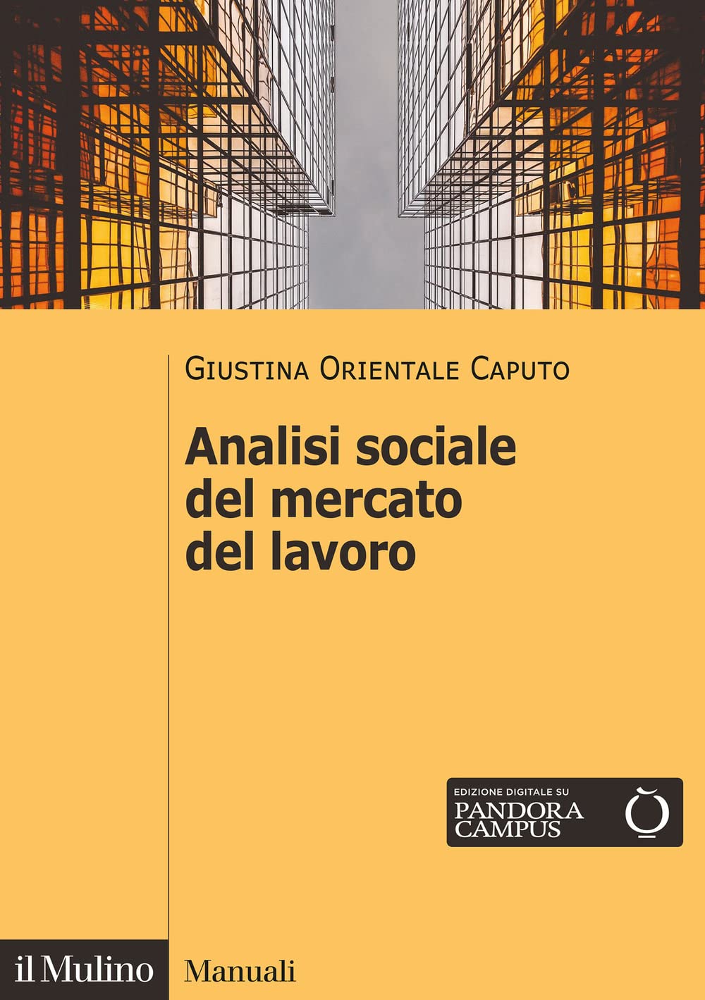 Analisi sociale del mercato del lavoro book