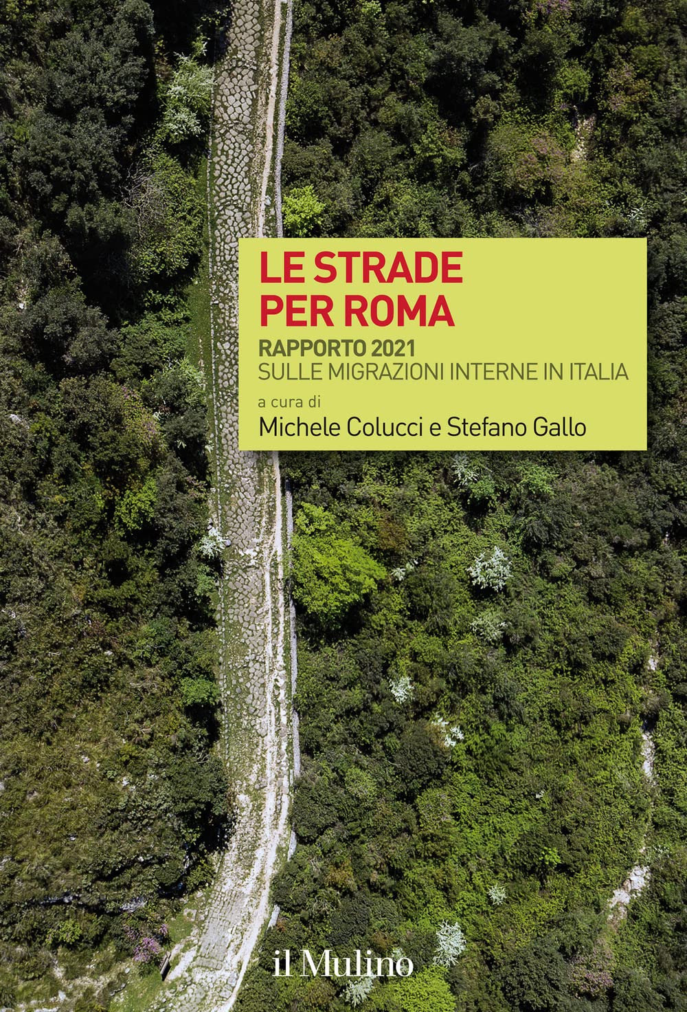 Le strade per Roma. Rapporto 2021 sulle migrazioni interne in Italia book