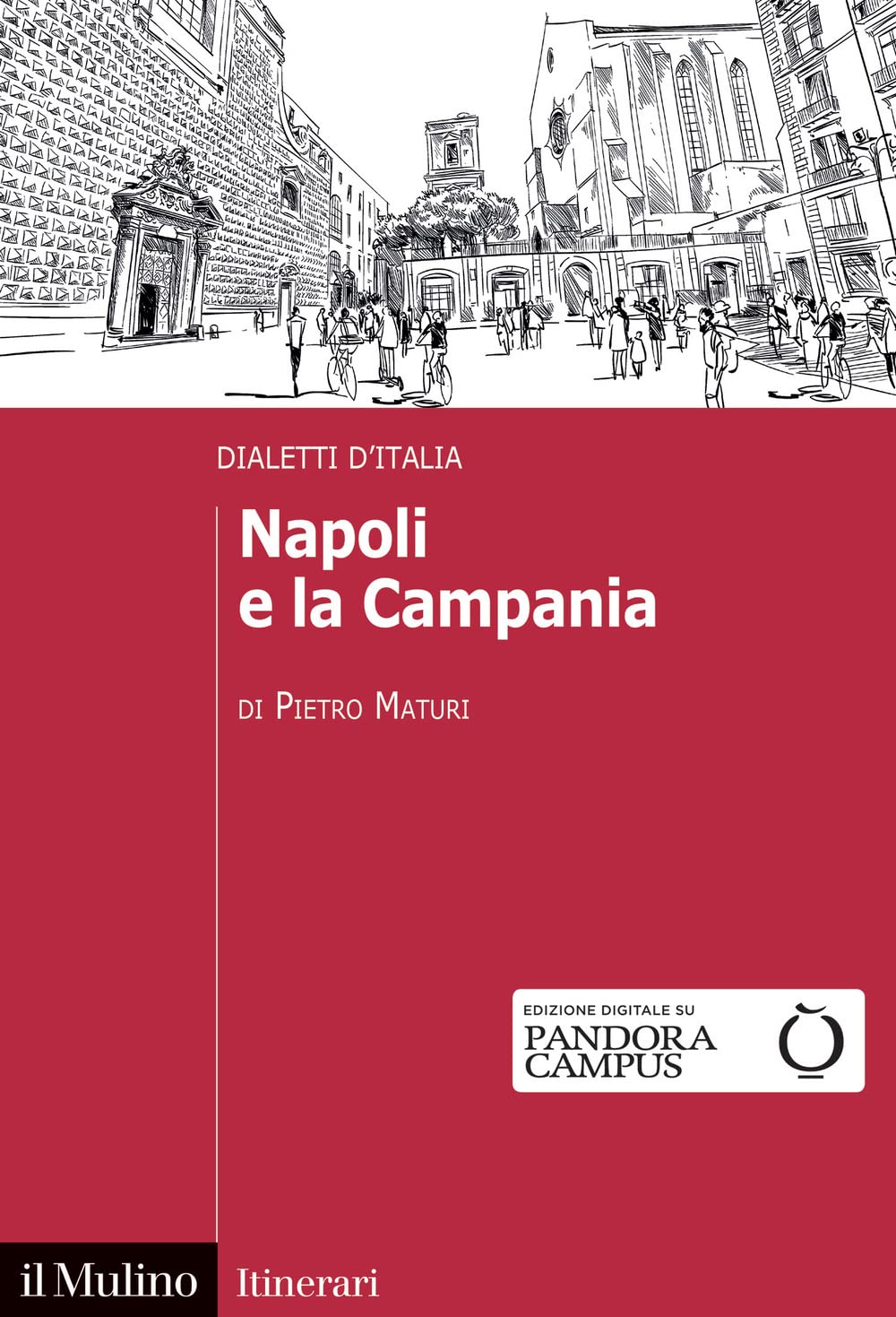 Napoli e la Campania. Dialetti d'Italia book