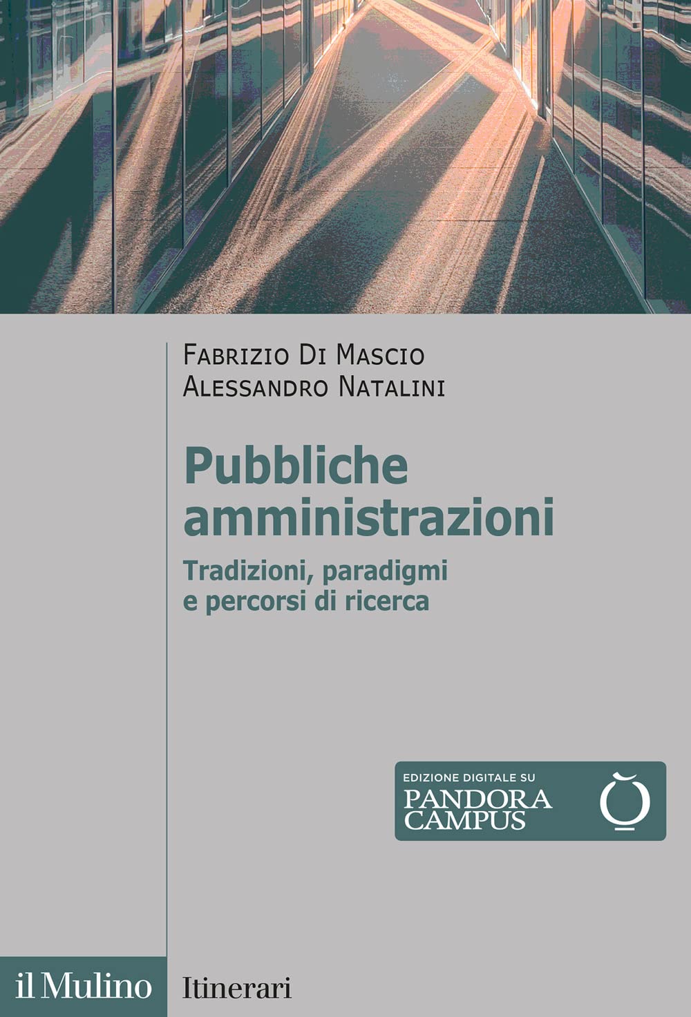 Pubbliche amministrazioni. Tradizioni, paradigmi e percorsi di ricerca book