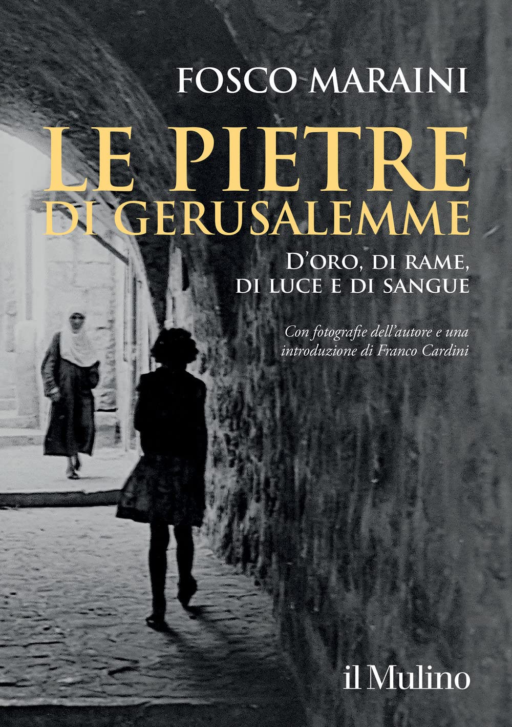 Le pietre di Gerusalemme. D'oro, di rame, di luce e di sangue Natural Sciences
