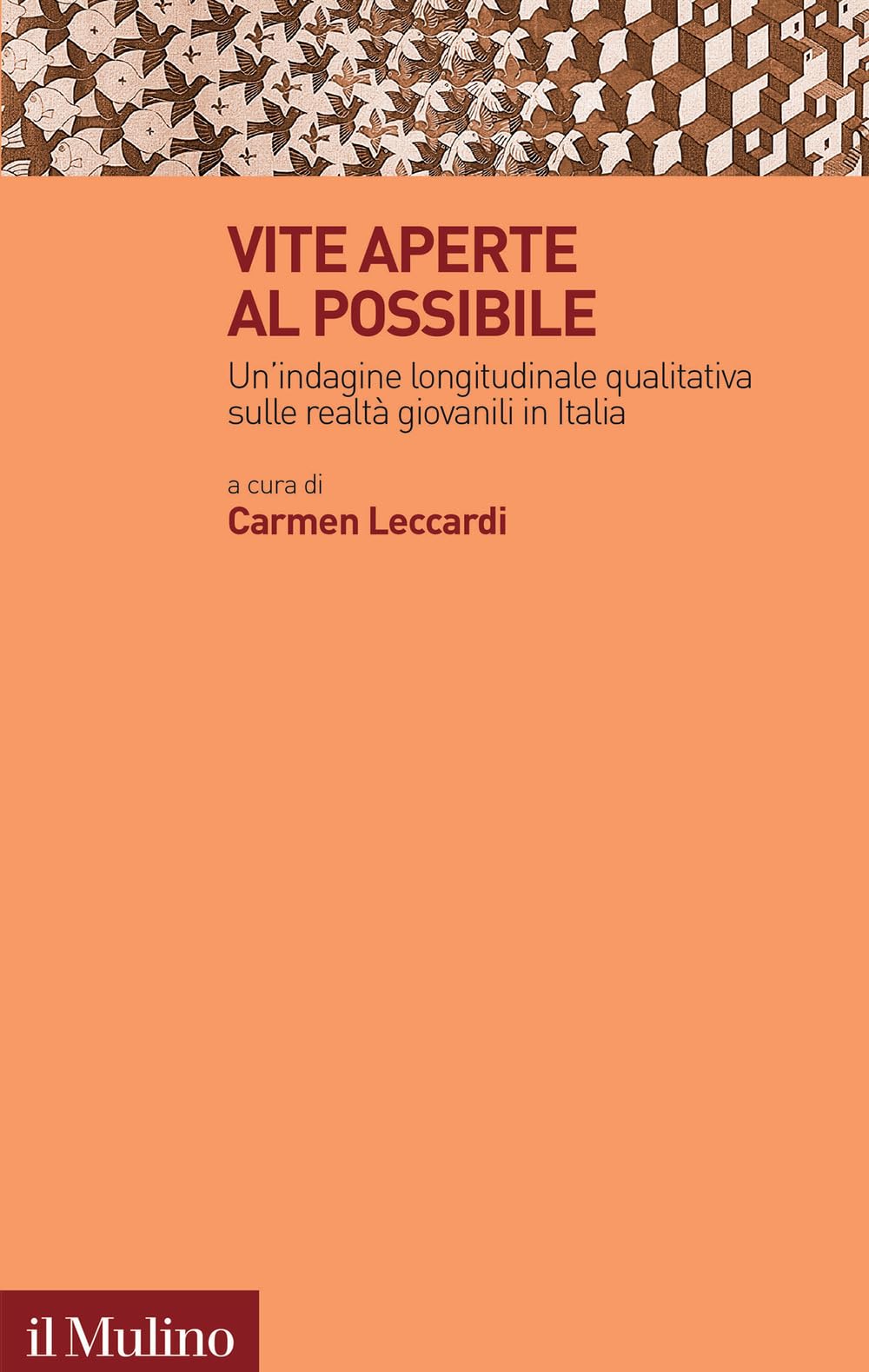 Vite aperte al possibile. Un'indagine longitudinale qualitativa sulle realtà giovanili in Italia book