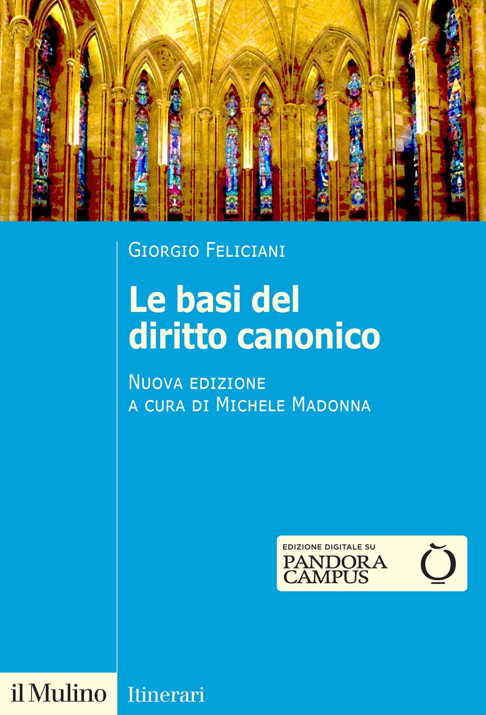 Le basi del diritto canonico. Dopo il codice del 1983 book