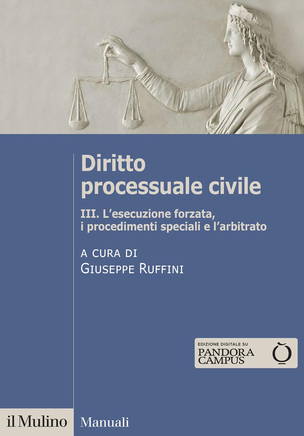 Diritto processuale civile. L' esecuzione forzata, i procedimenti speciali e l'arbitrato (Vol. 3) (Manuali) Law