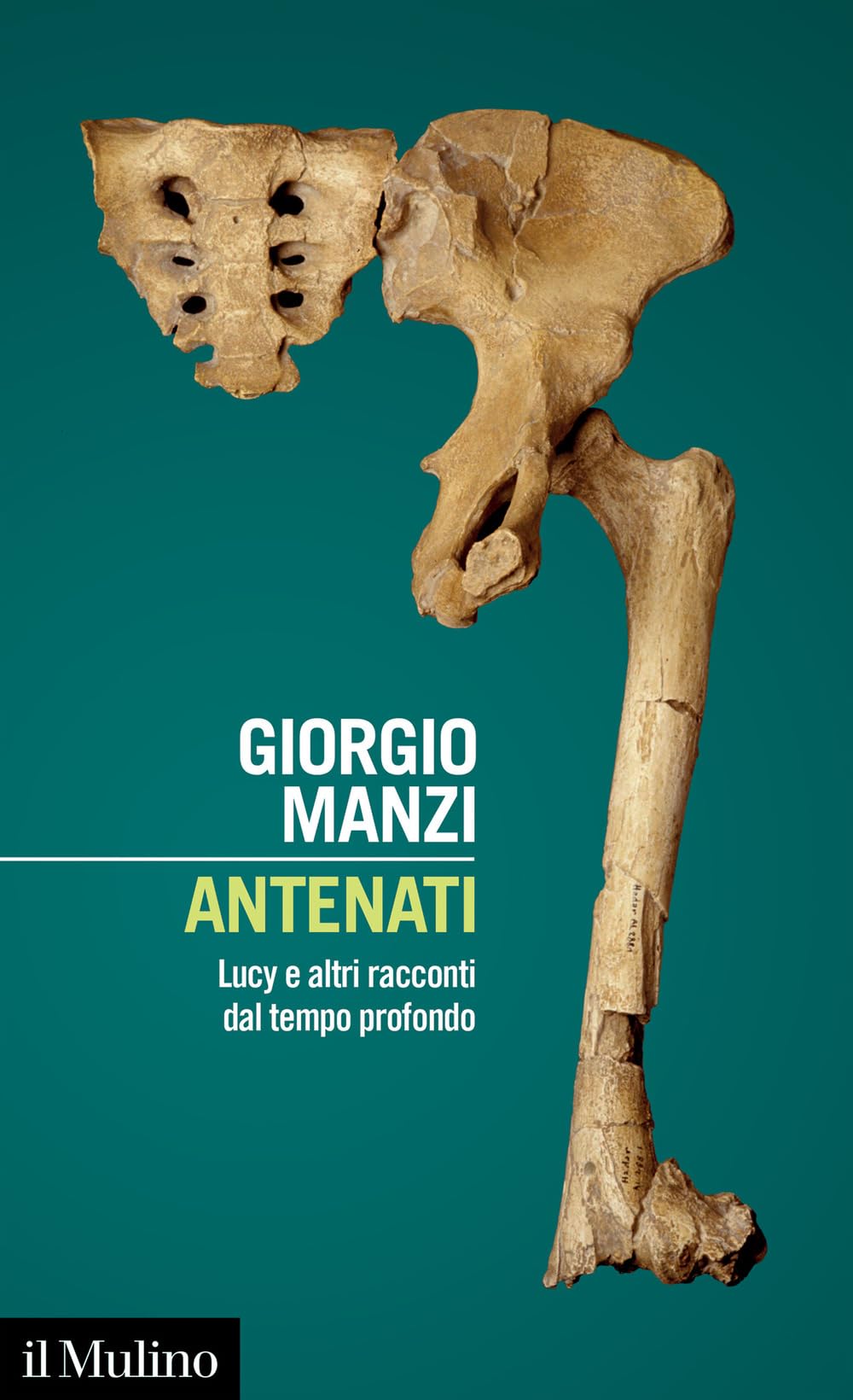 Antenati. Lucy e altri racconti dal tempo profondo book