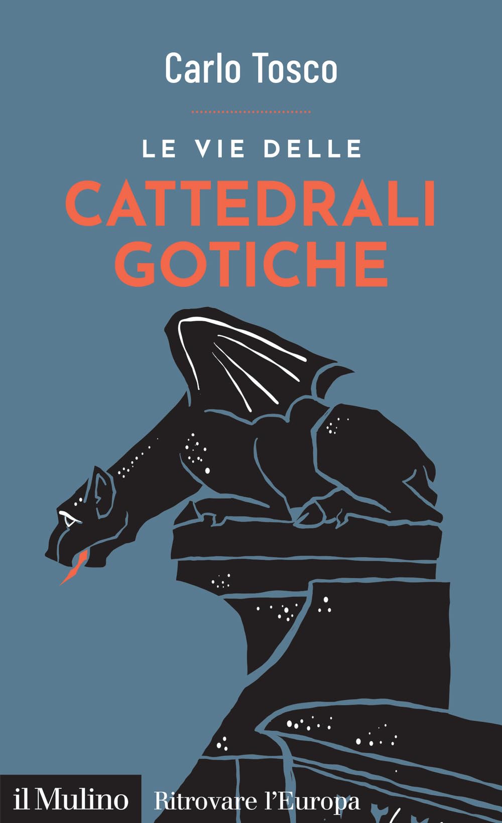 Le vie delle cattedrali gotiche book