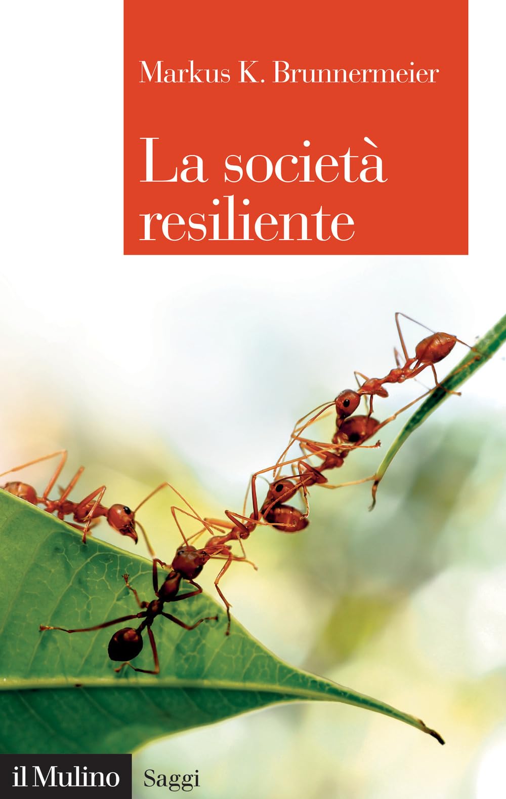 La società resiliente (Saggi) Books