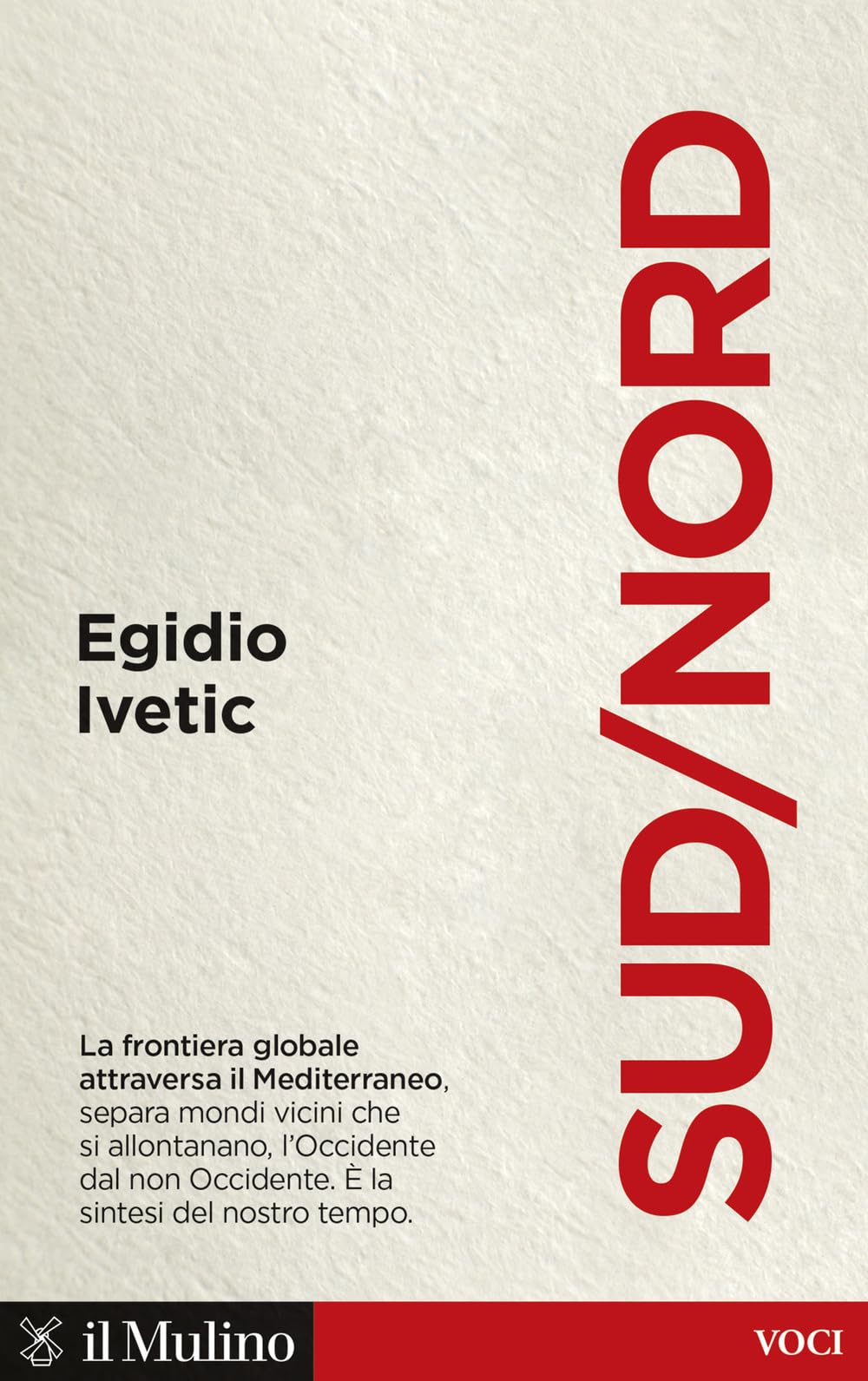 Sud/Nord. La frontiera globale nel Mediterraneo book