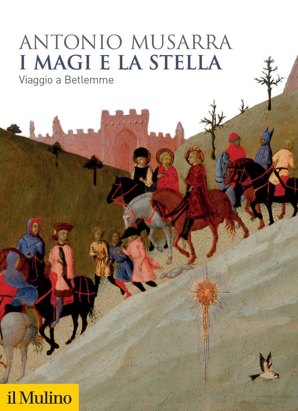 I Magi e la stella. Viaggio a Betlemme book