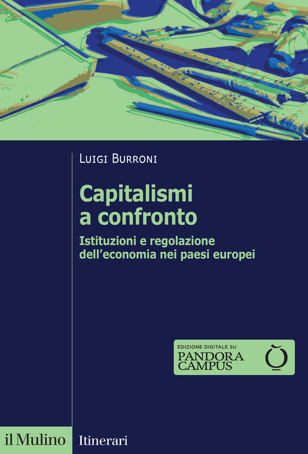 Capitalismi a confronto. Istituzioni e regolazione dell'economia nei paesi europei. Nuova ediz. book