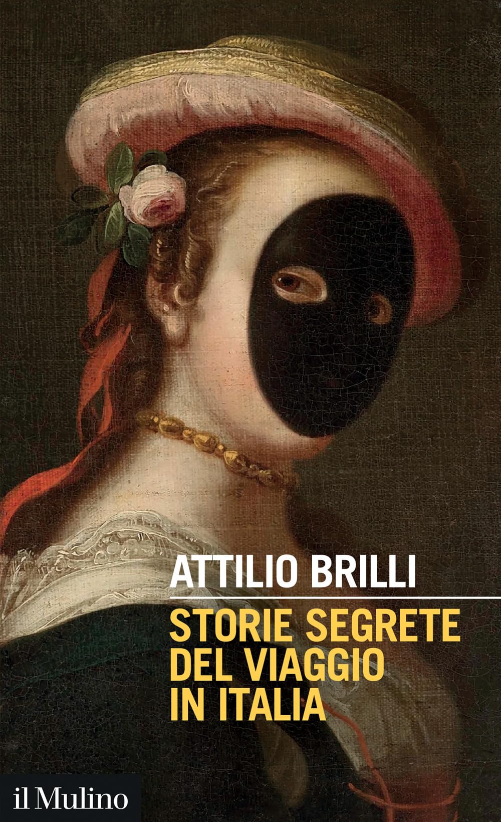 Storie segrete del viaggio in Italia book