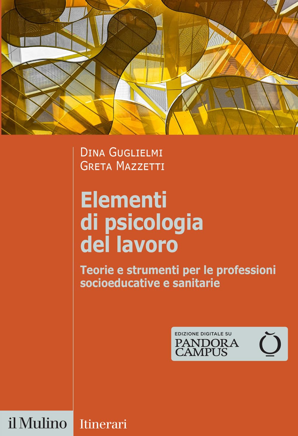 Elementi di psicologia del lavoro. Teorie e strumenti per le professioni socioeducative e sanitarie book