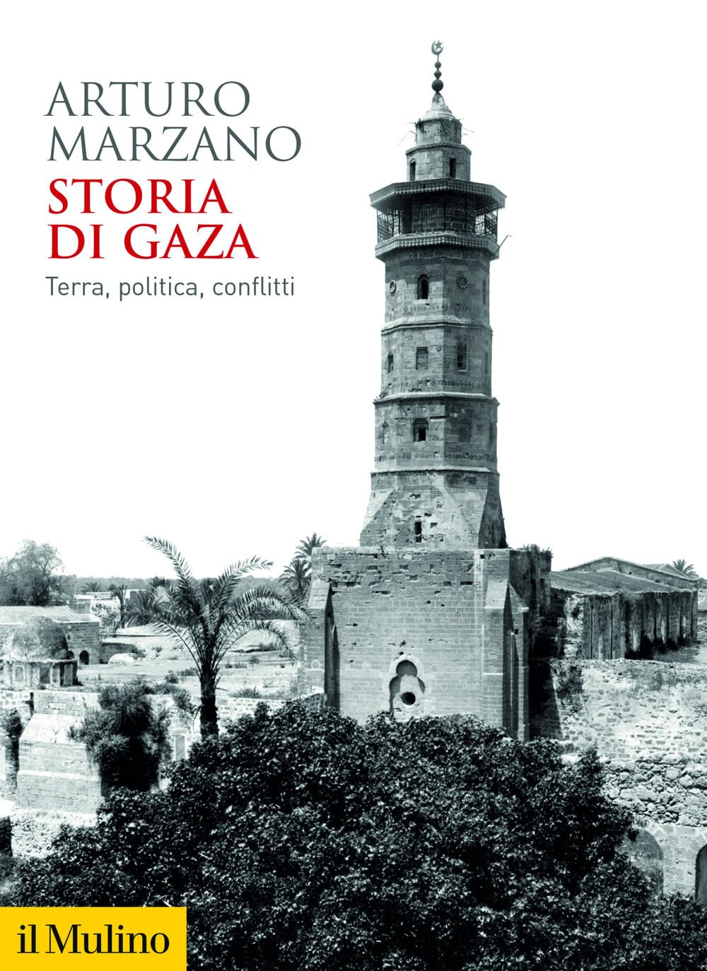 Storia di Gaza. Terra, politica, conflitti Social Sciences