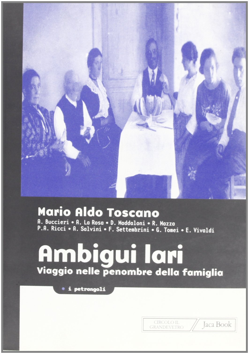 Ambigui Lari. Viaggio nelle penombre della famiglia book