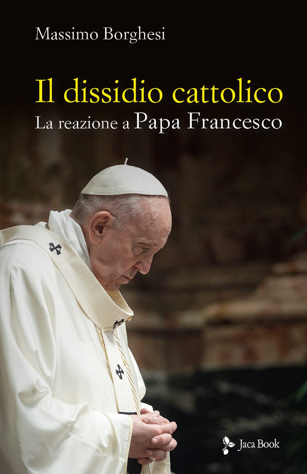 Il dissidio cattolico. La reazione a Papa Francesco book