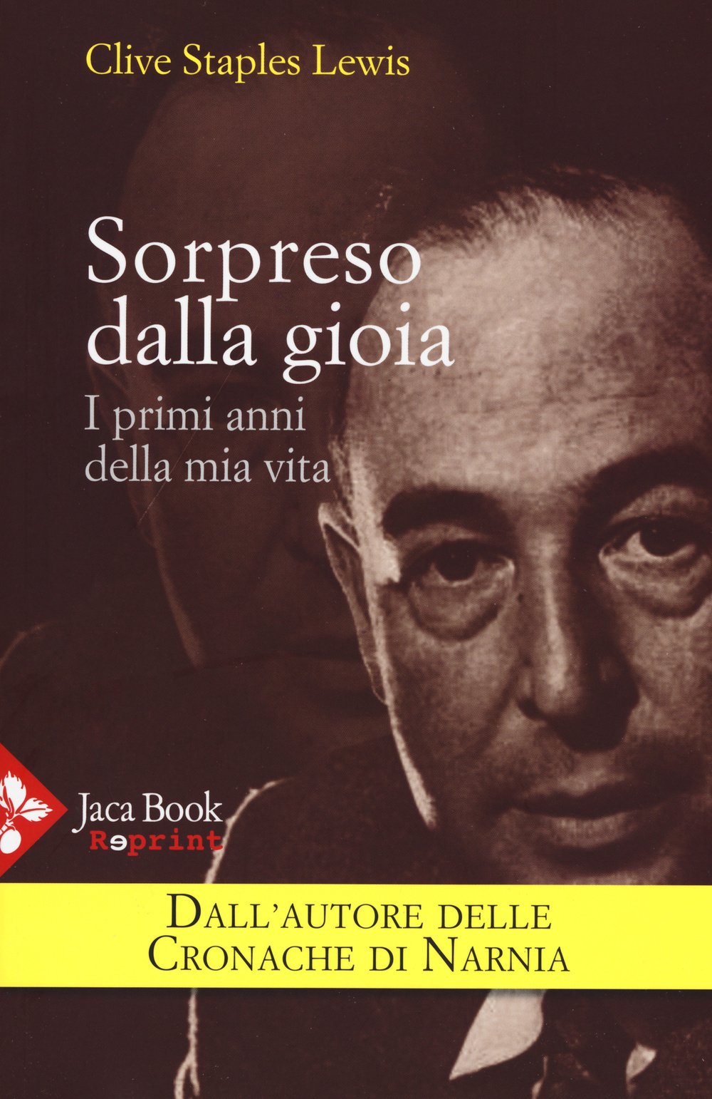 Sorpreso dalla gioia. I primi anni della mia vita book