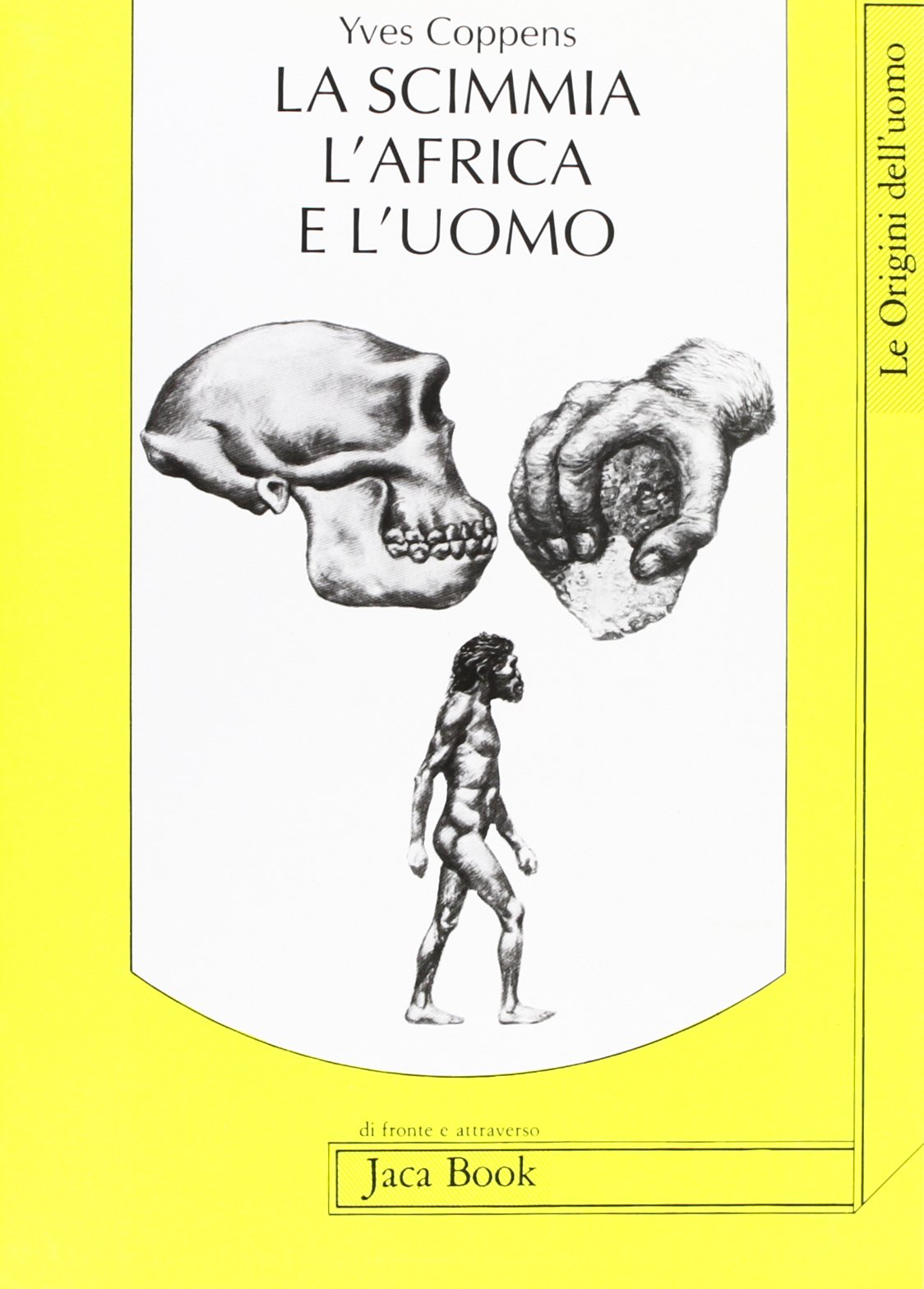 La scimmia, l'Africa e l'uomo (Di fronte e attr. Le origini dell'uomo) Natural Sciences Books