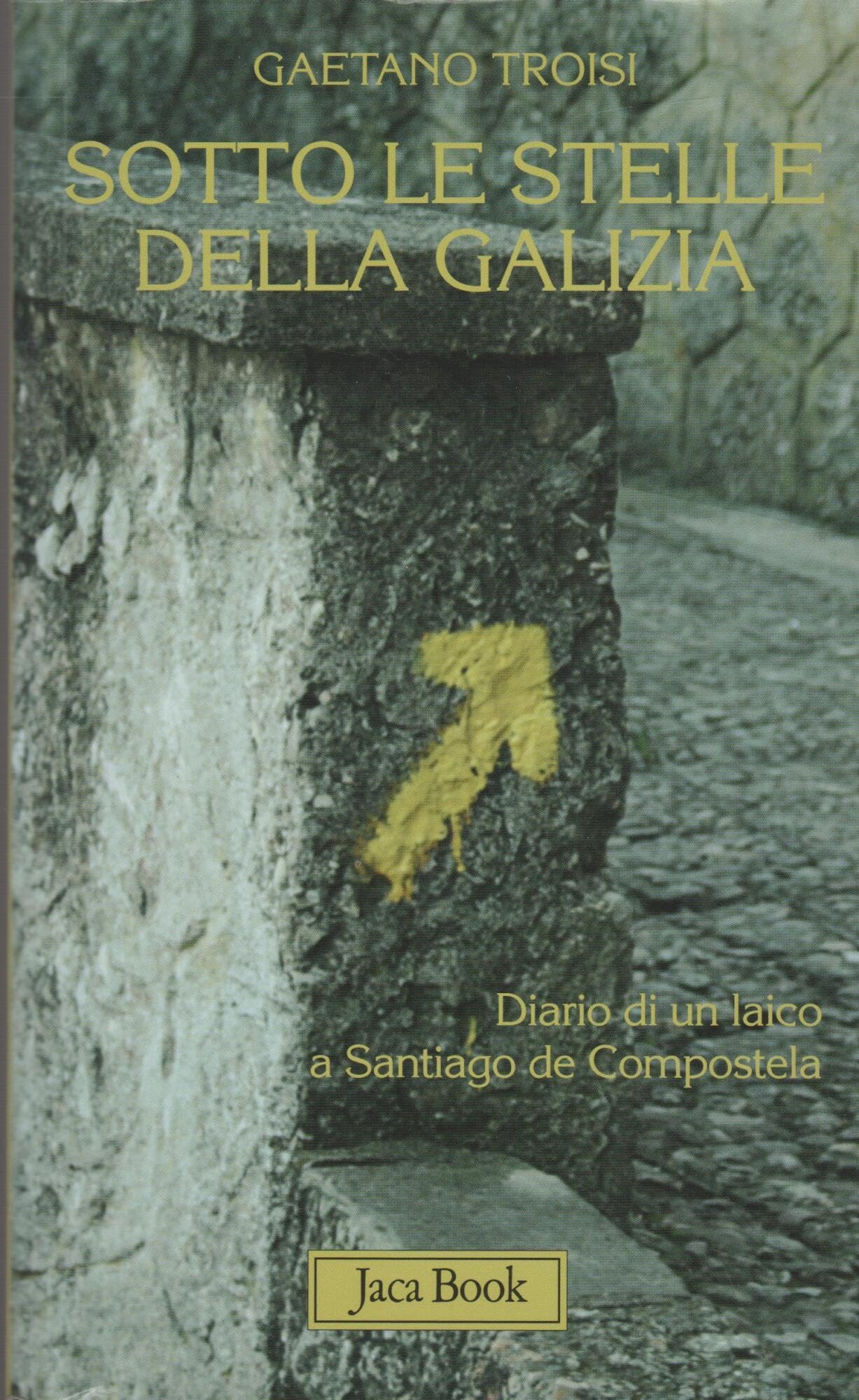 Sotto le stelle della Galizia. Diario di un laico a Santiago (Mondi letterari, Band 69) Essays & Short Stories