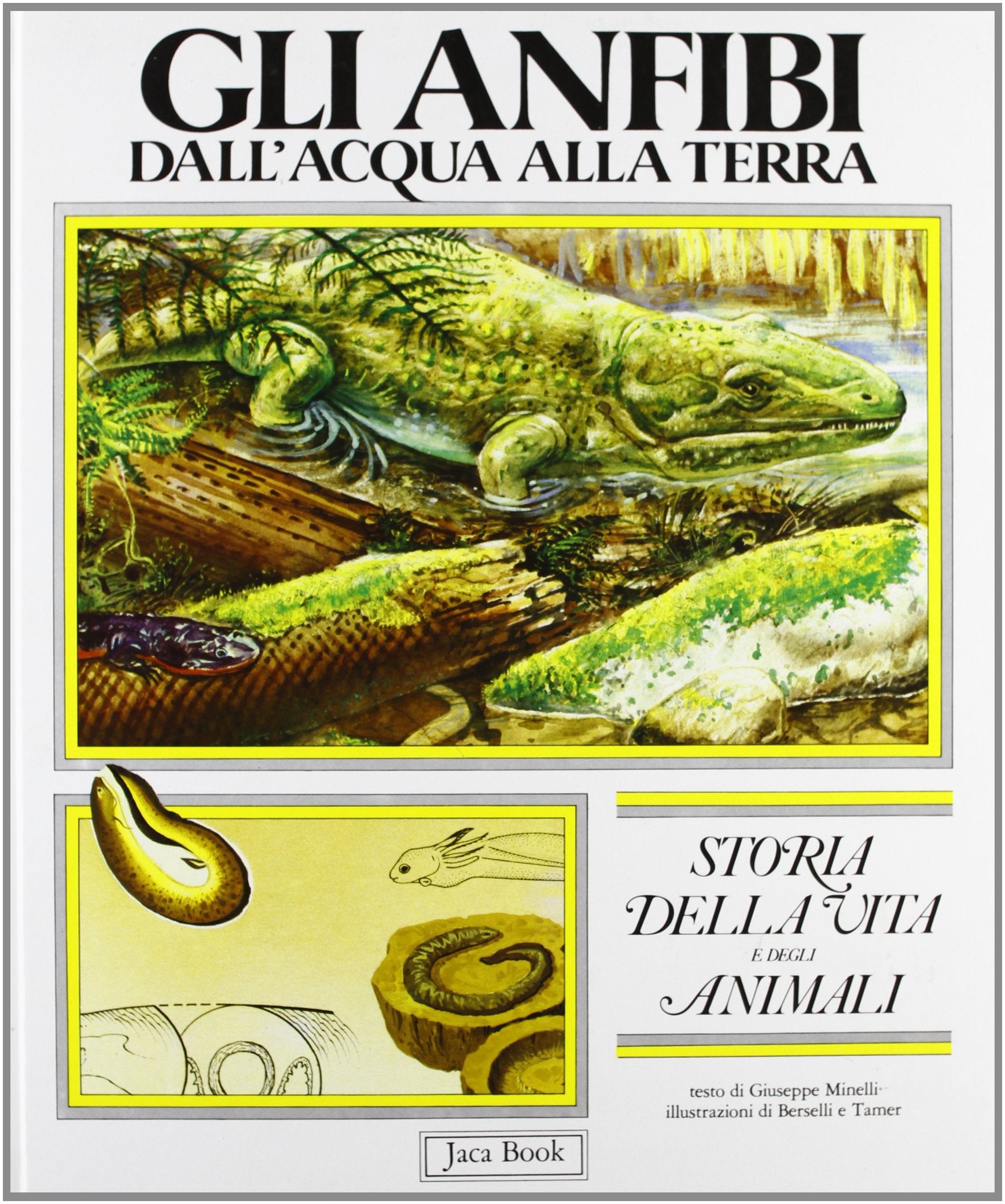 Storia della vita e degli animali. Gli anfibi (Vol. 3) book