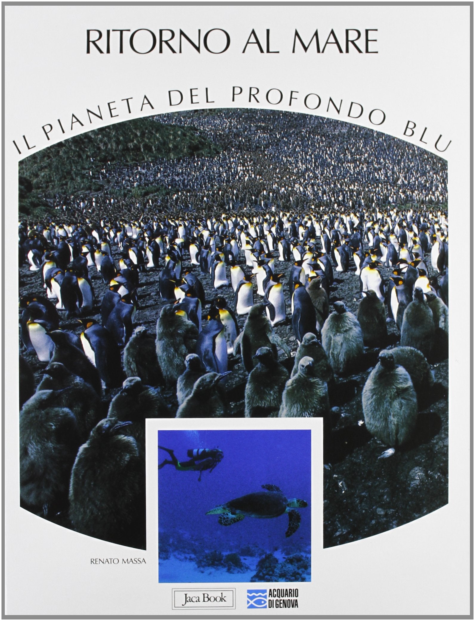Ritorno al mare (Il pianeta del profondo blu, Band 4) Natural Sciences