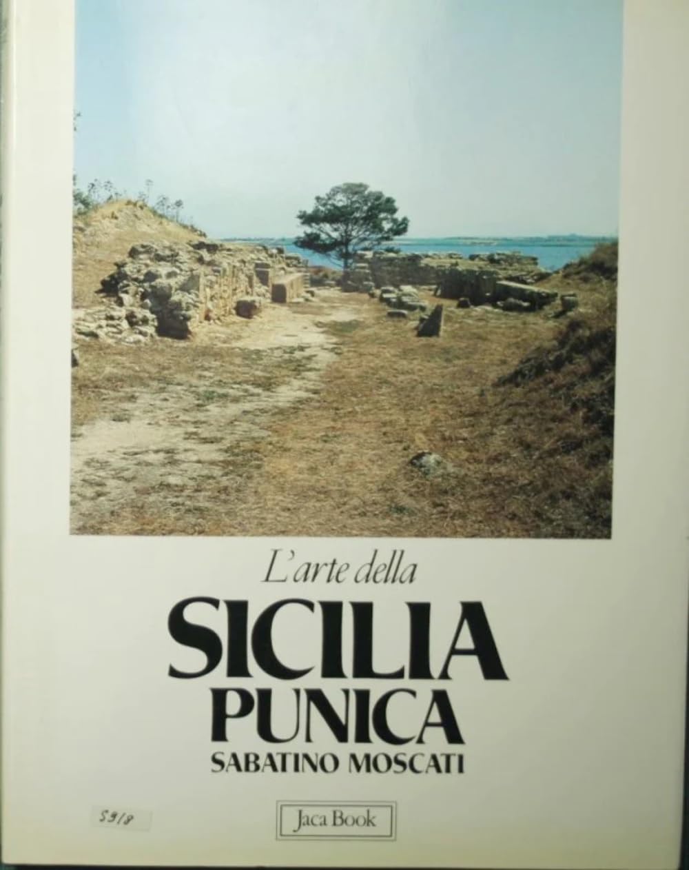 L'arte della Sicilia punica book