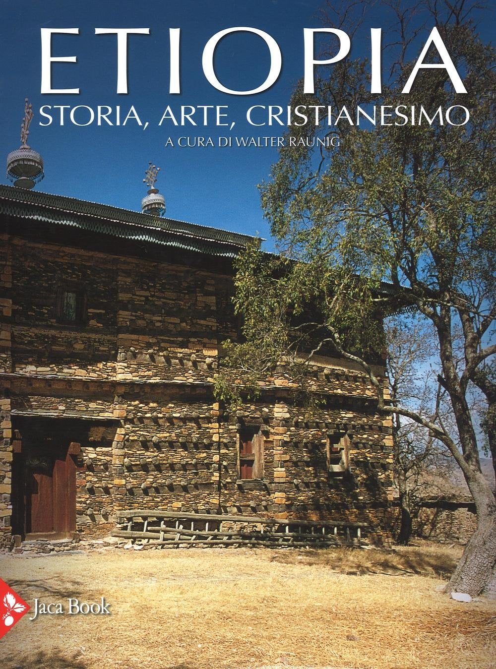 Etiopia. Storia, arte, cristianesimo. Ediz. illustrata book