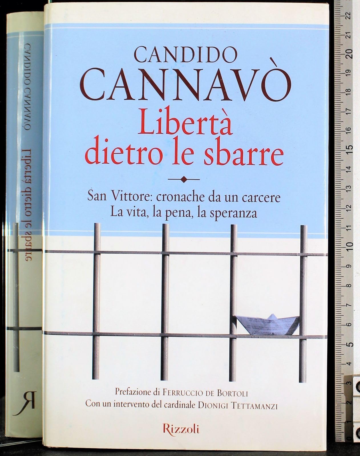 Libertà dietro le sbarre (Saggi italiani) Social Sciences