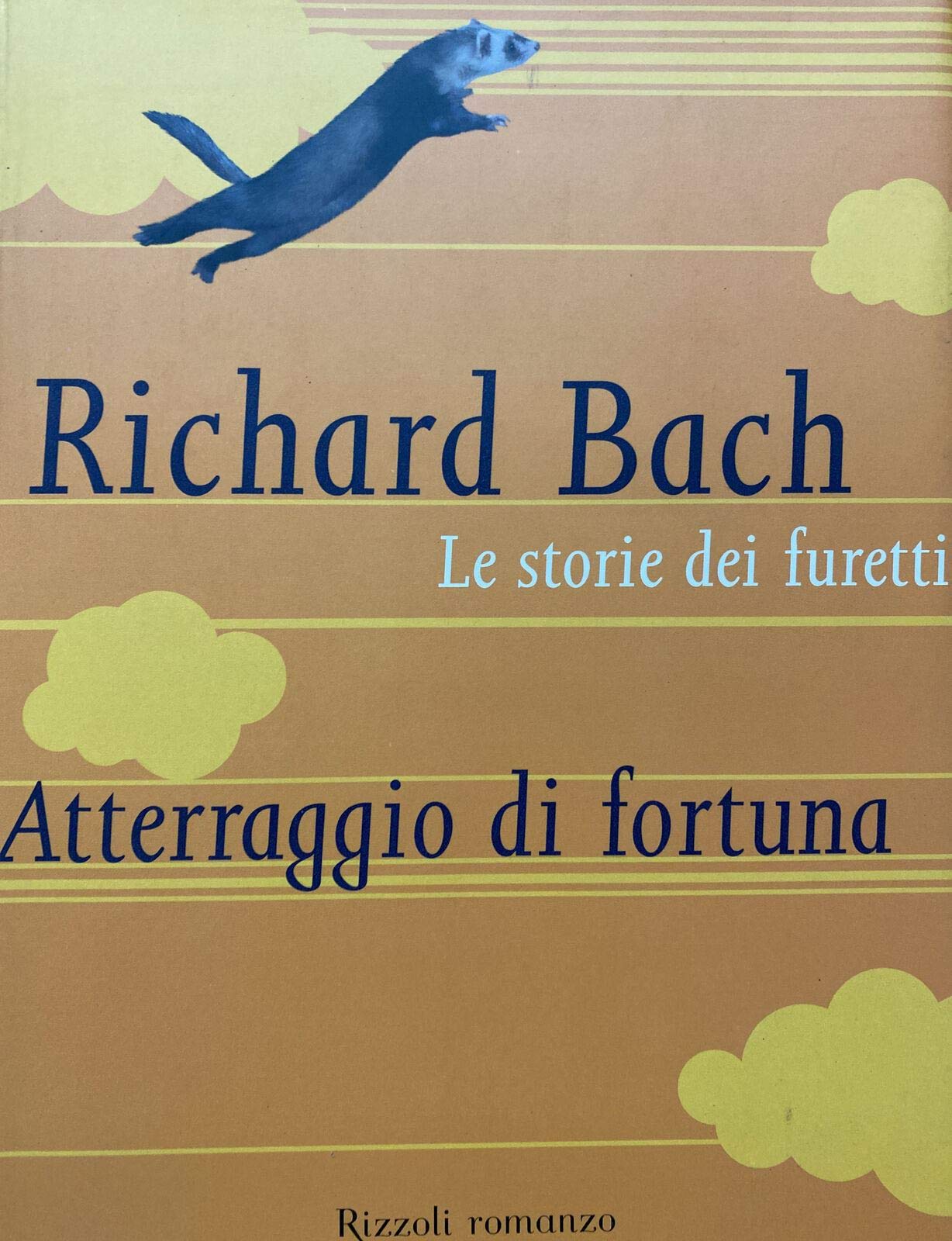 Le storie dei furetti. Atterraggio di fortuna (BUR Narrativa) Contemporary literature