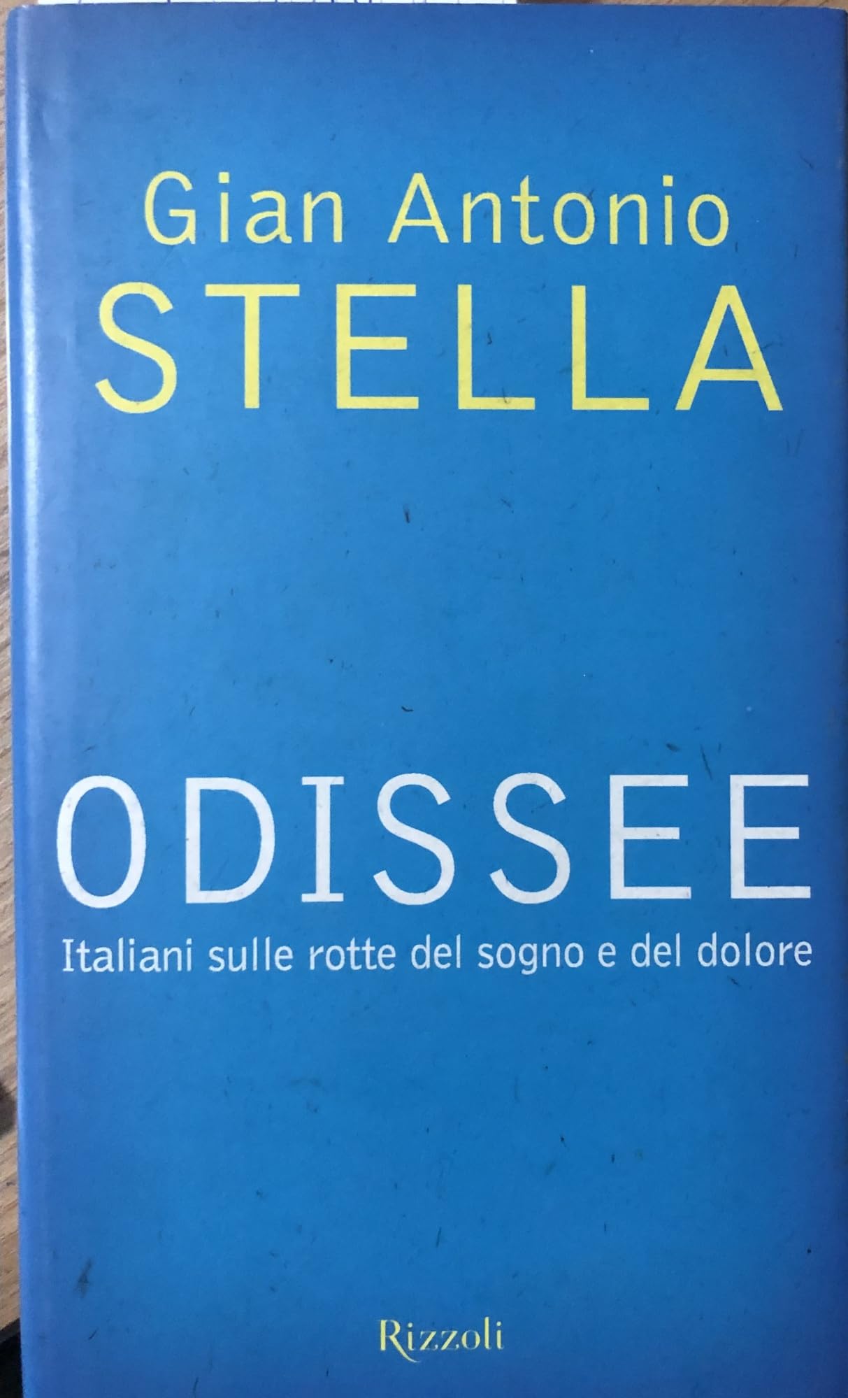 Odissee. Italiani sulle rotte del sogno e del dolore book