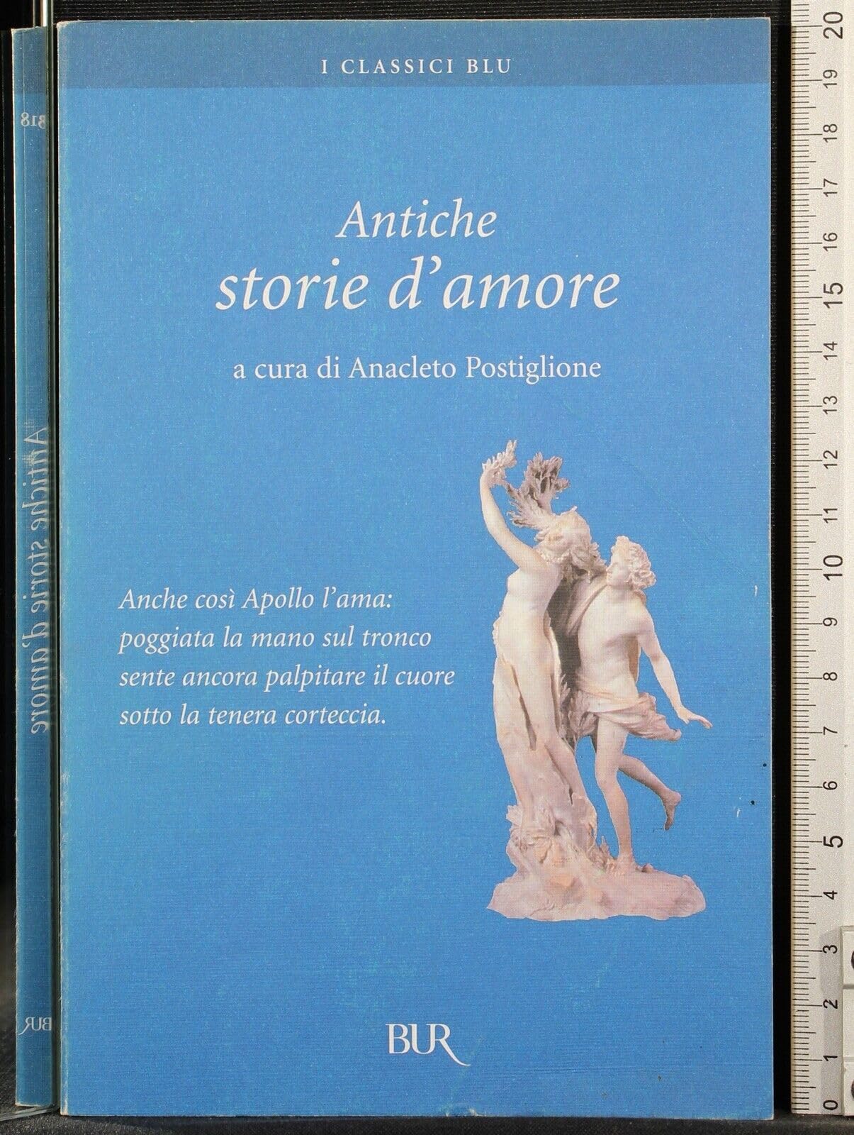 Antiche storie d'amore (BUR I classici blu, Band 318) Contemporary literature