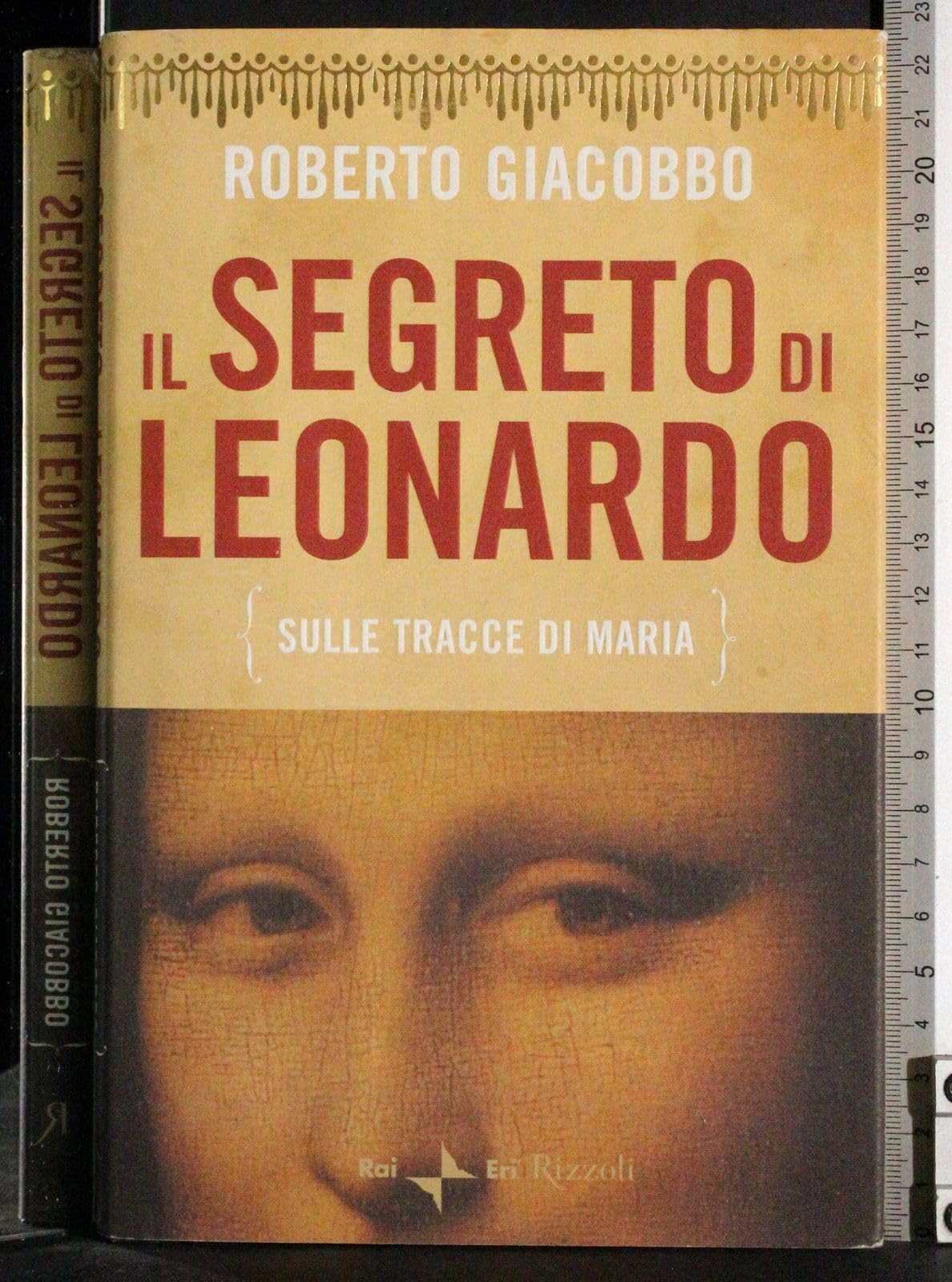 Il segreto di Leonardo (sulle tracce di Maria) Contemporary literature