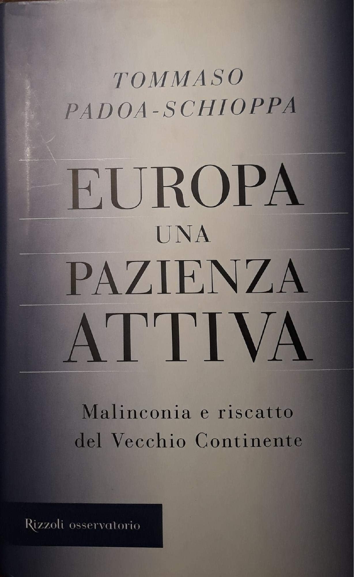 Europa, una pazienza attiva. Malinconia e riscatto del vecchio continente (Osservatorio italiano) Business, Finance & Career