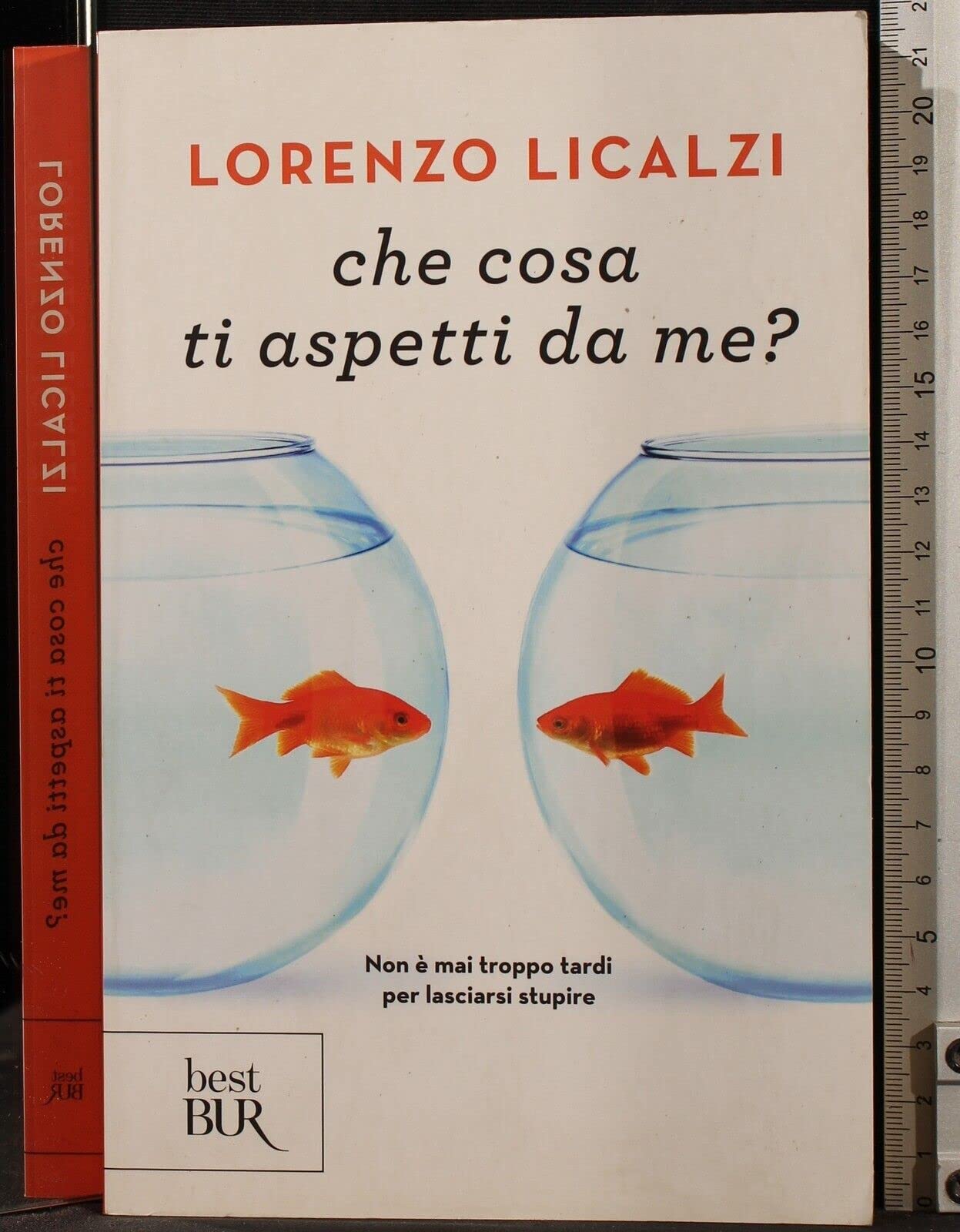 Che cosa ti aspetti da me? (BUR Narrativa) Contemporary literature