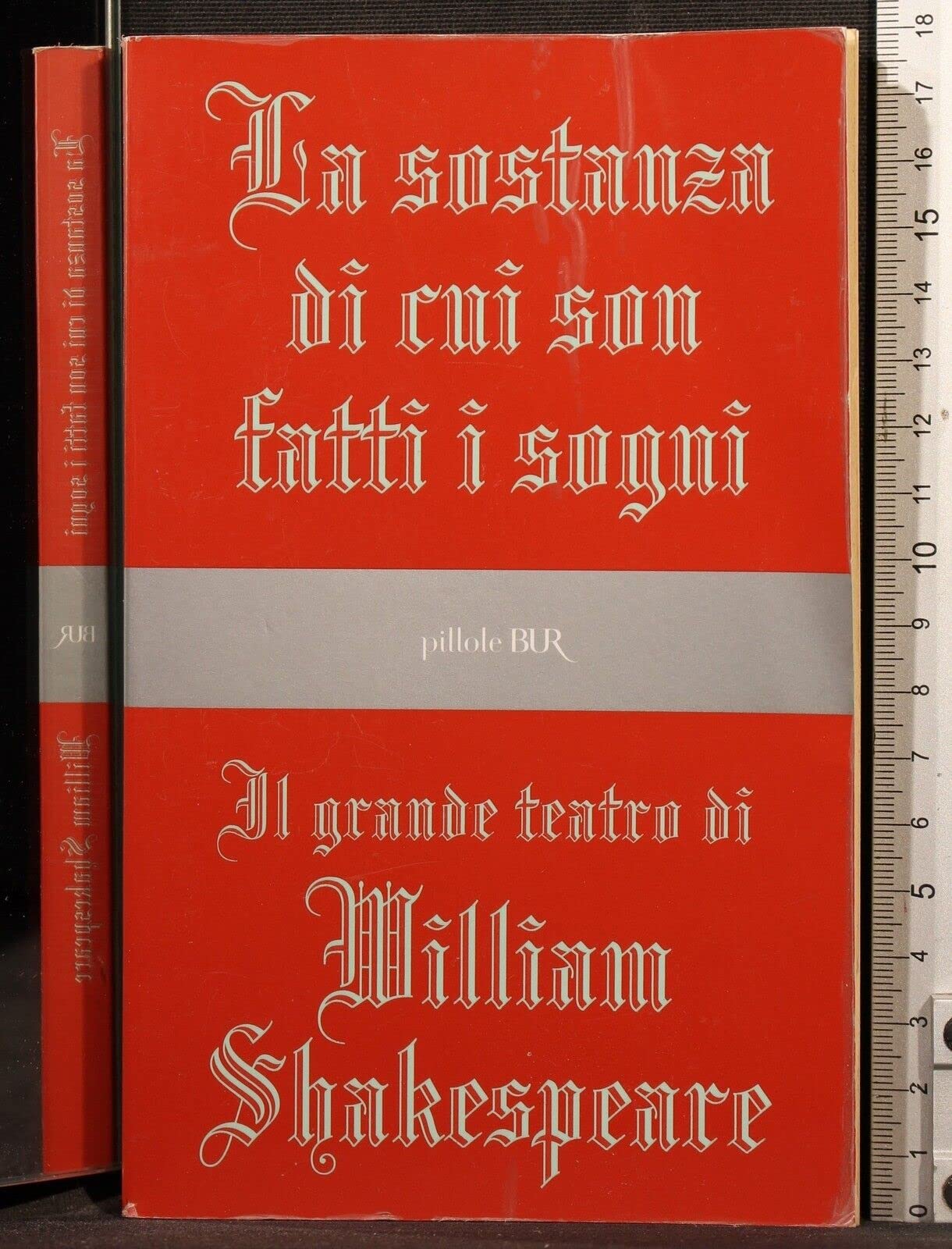 La sostanza di cui son fatti i sogni book