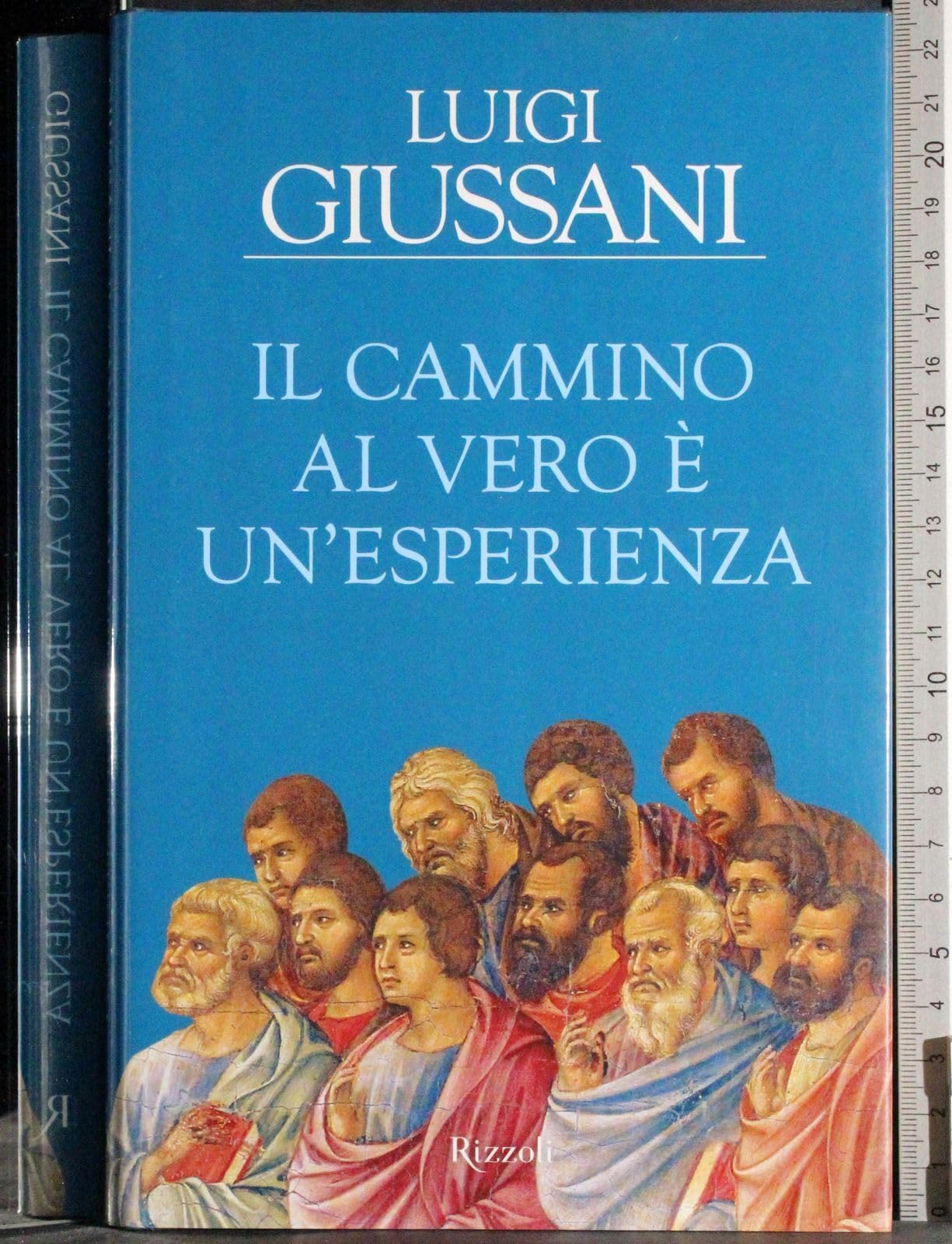 Il cammino al vero è un'esperienza book