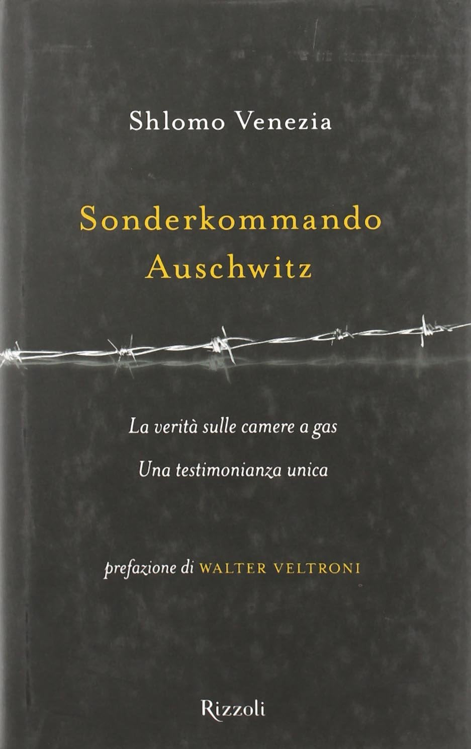 Sonderkommando Auschwitz (Saggi stranieri) Memories