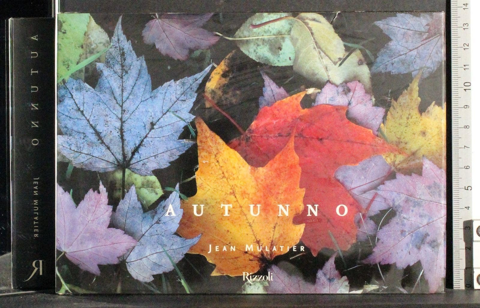 Autunno. Ediz. illustrata book