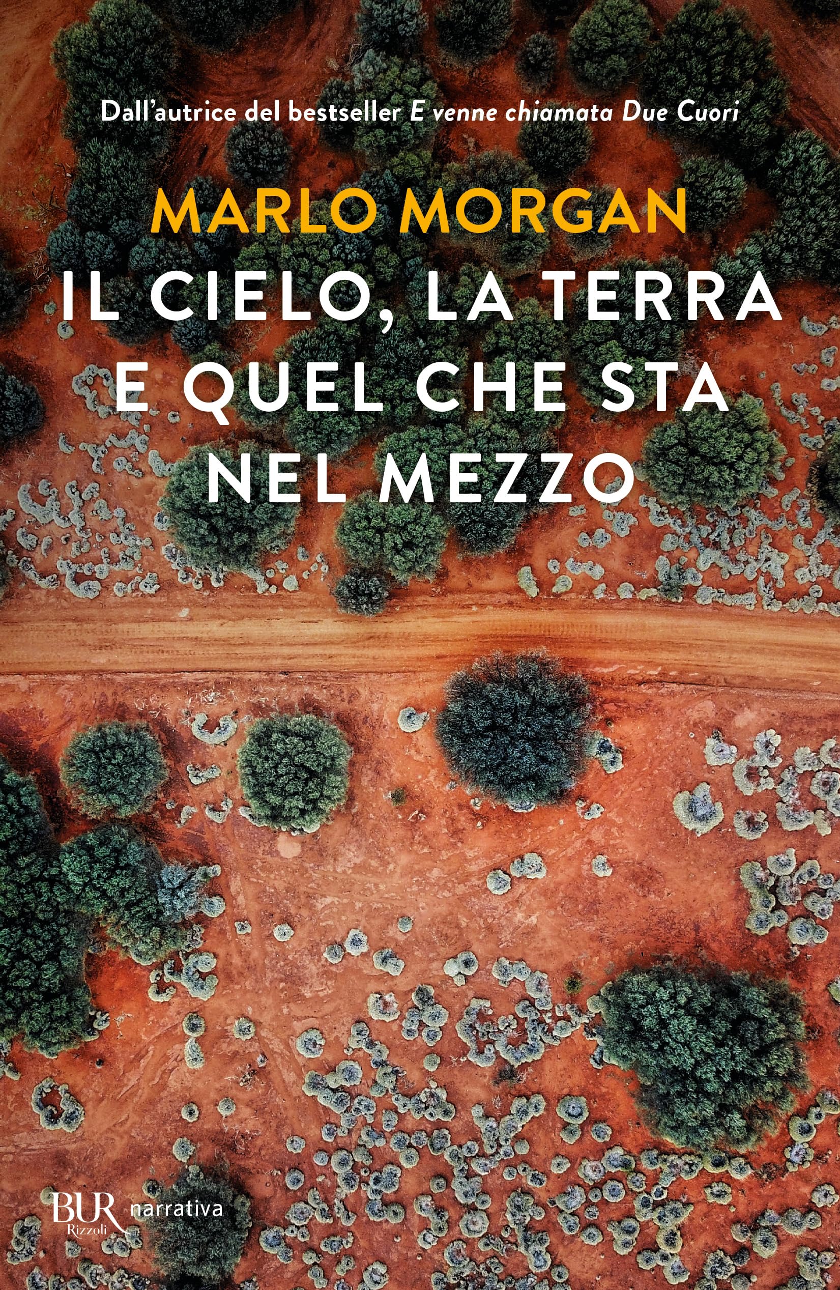 Cielo, terra e quel che sta nel mezzo (BUR Narrativa) Contemporary literature