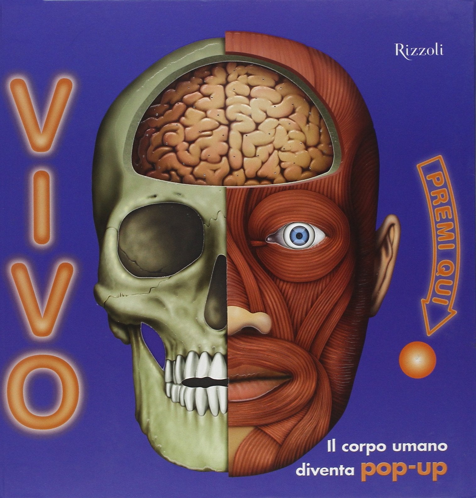 Vivo. Libro pop-up. Ediz. illustrata book